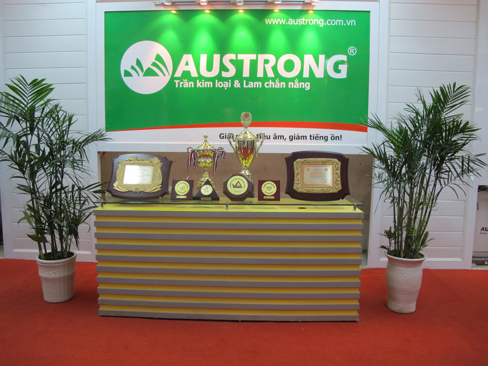 austrong-lam-chan-nang-tran-nhom-tham-gia-hoi-tro-quoc-te-viet-buile-2012